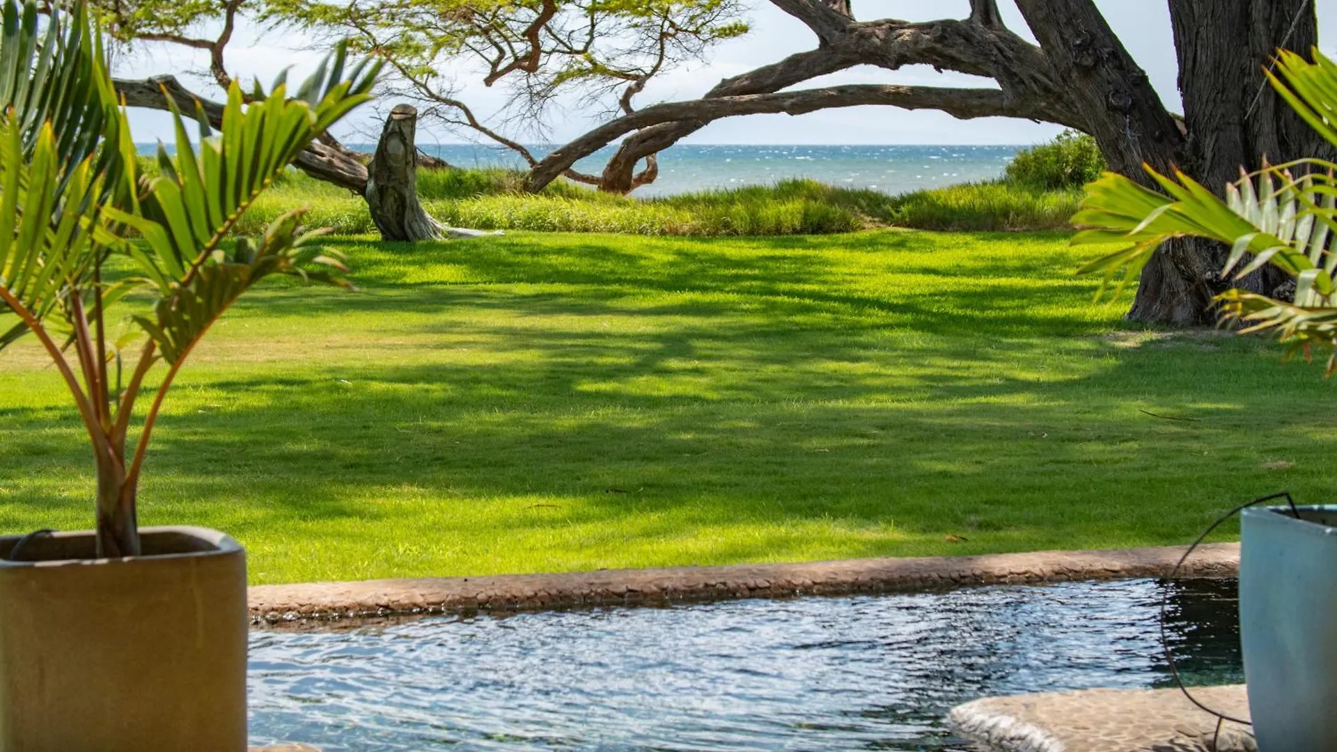 בית אירוח קיהיי Aloha Aku Honu2 Suite - Relax By The Sea In Tranquility ארצות הברית